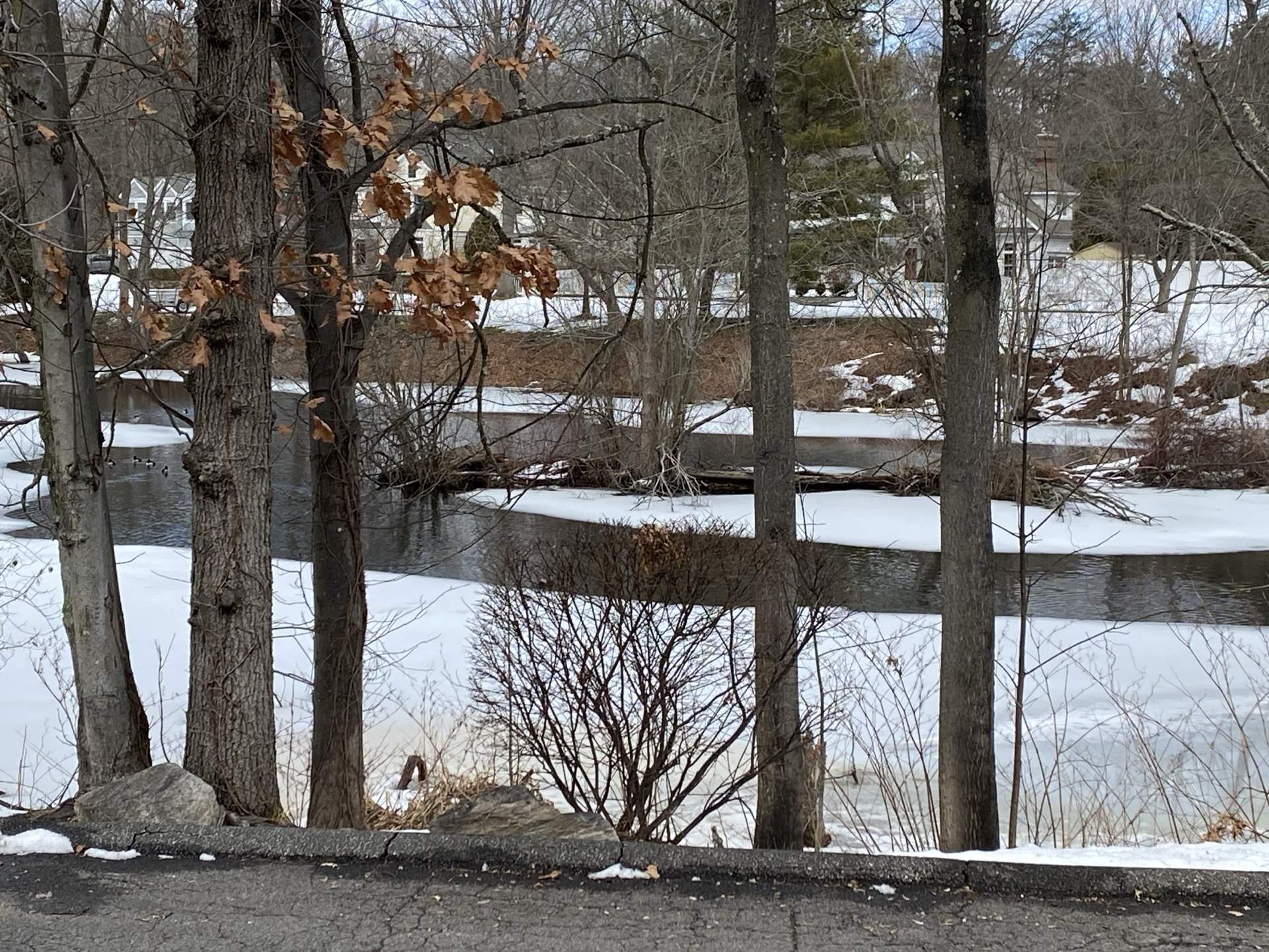 Winter scene of the Noroton River with snow-covered banks along The Phillips Mansion grounds